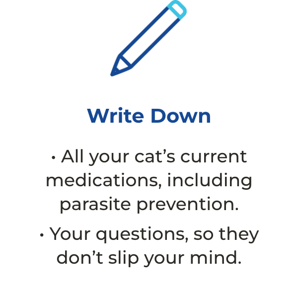 Write down all your cat’s current medications, including parasite prevention, and your questions, so they don’t slip your mind.